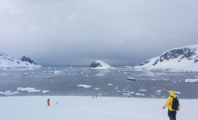 Aller en Antarctique