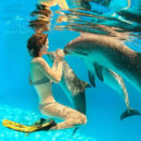 Plonger avec les dauphins