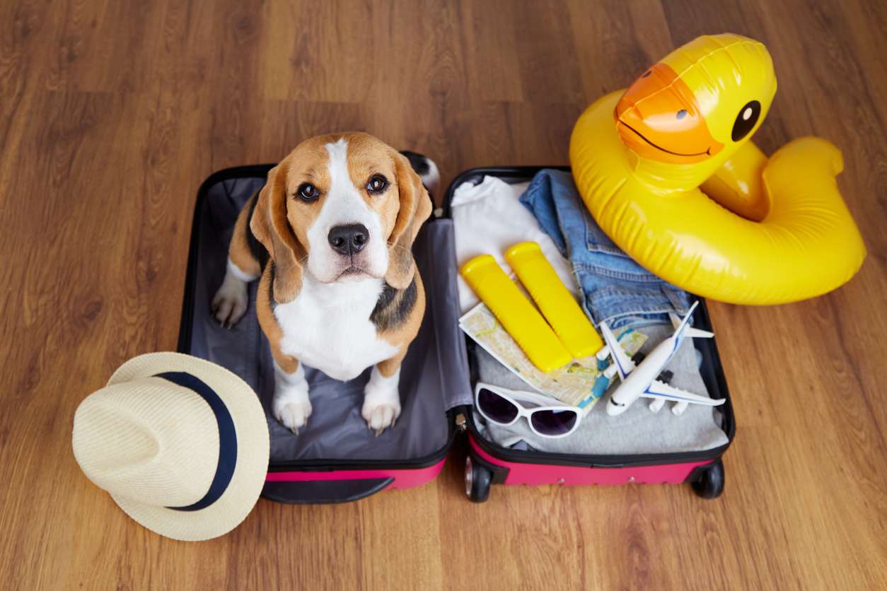 agence de voyage