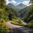 explorez les paysages à couper le souffle le long de la route de la traversée en guadeloupe, entre forêts luxuriantes, cascades impressionnantes et panoramas exceptionnels.