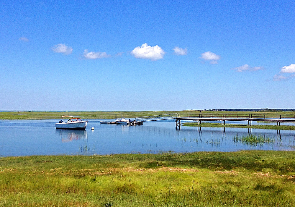 Cape Cod