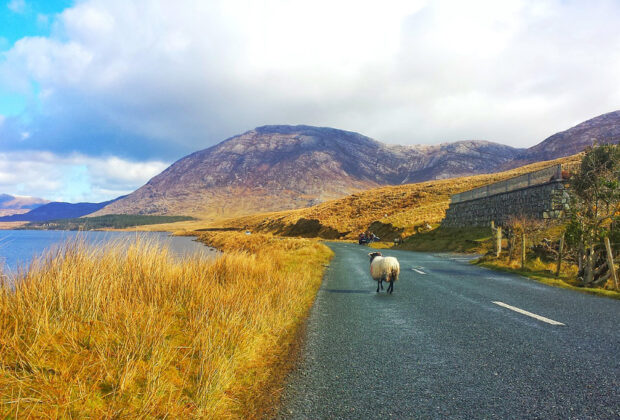 Connemara