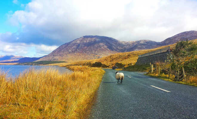 Connemara