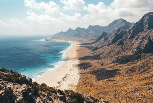 Découvrez les merveilles de l'île Socotra, un paradis perdu au large du Yémen