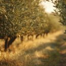 Destination Med : blog qui vous guide vers des séjours inoubliables