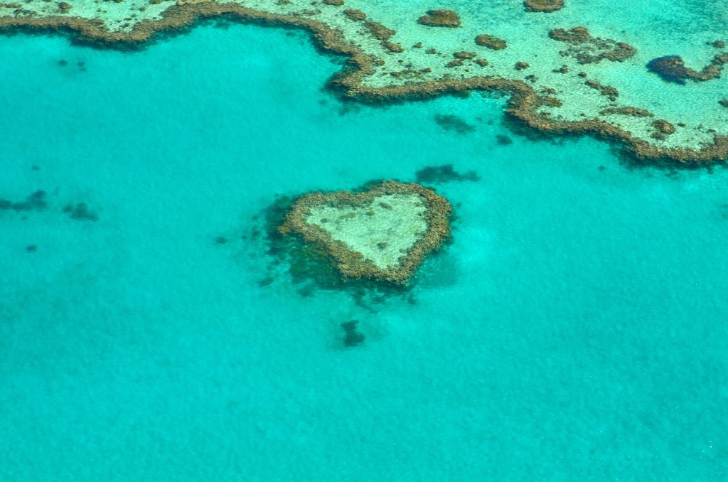 Grande barrière Corail Australie