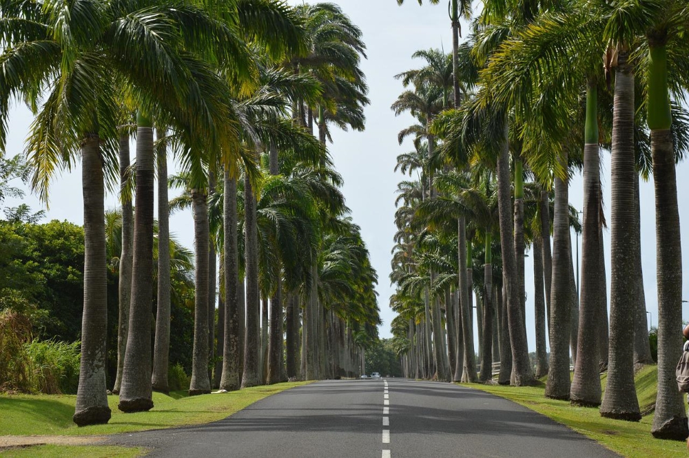 Guadeloupe endroit rêvé