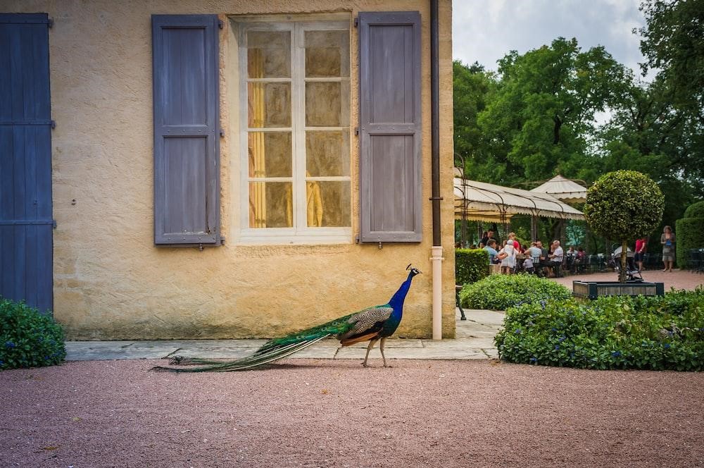 Jardins de Marqueyssac France