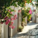 Le charme intemporel de Paros, île grecque de la mer Égée et ses plages paradisiaques