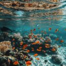Les incontournables à explorer à Hurghada en Égypte