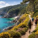 découvrez les itinéraires incontournables en bretagne pour les amoureux de la nature, entre paysages sauvages, sentiers côtiers et villages pittoresques.