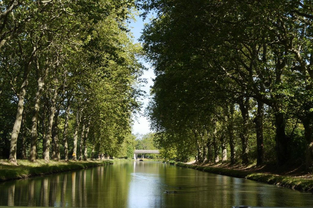 Organiser une croisière sur le Canal du Midi