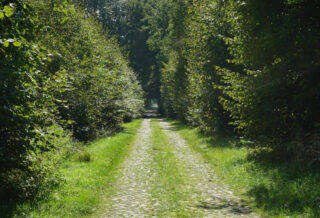 Piémont
