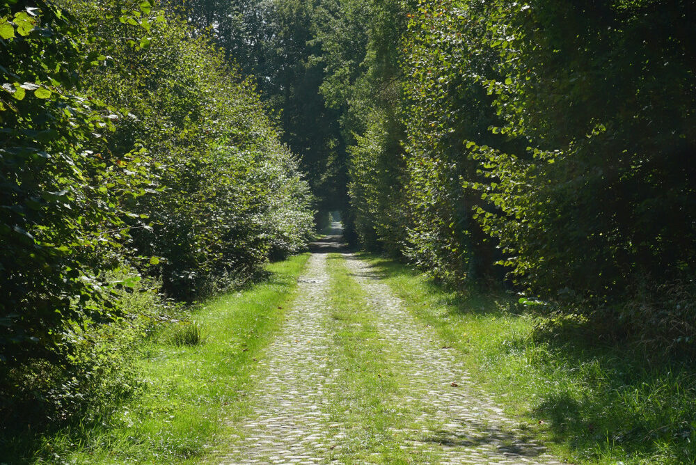 Piémont