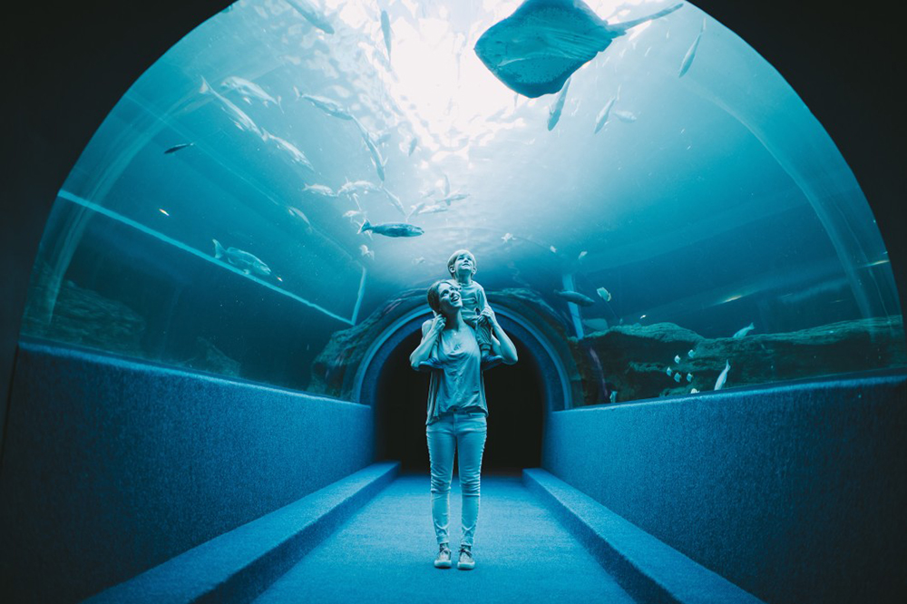 aquarium du monde