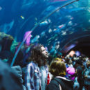 aquarium marseille