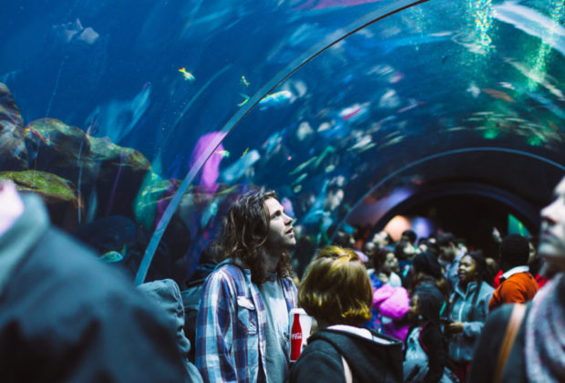 aquarium marseille