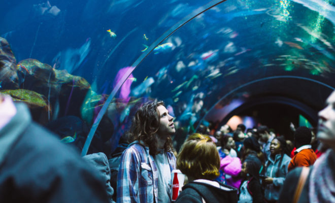 aquarium marseille