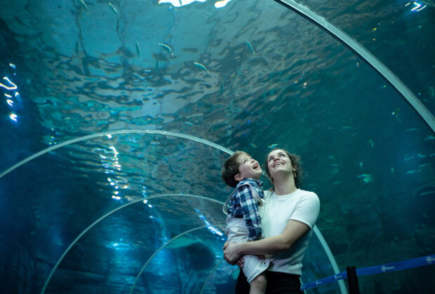 aquarium nausicaa