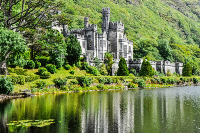 chateau dans la foret