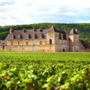 chateau vignoble