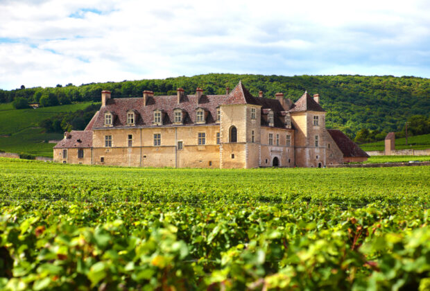 chateau vignoble