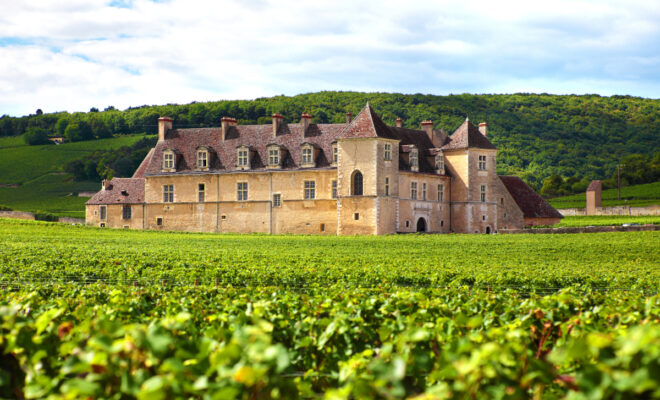 chateau vignoble