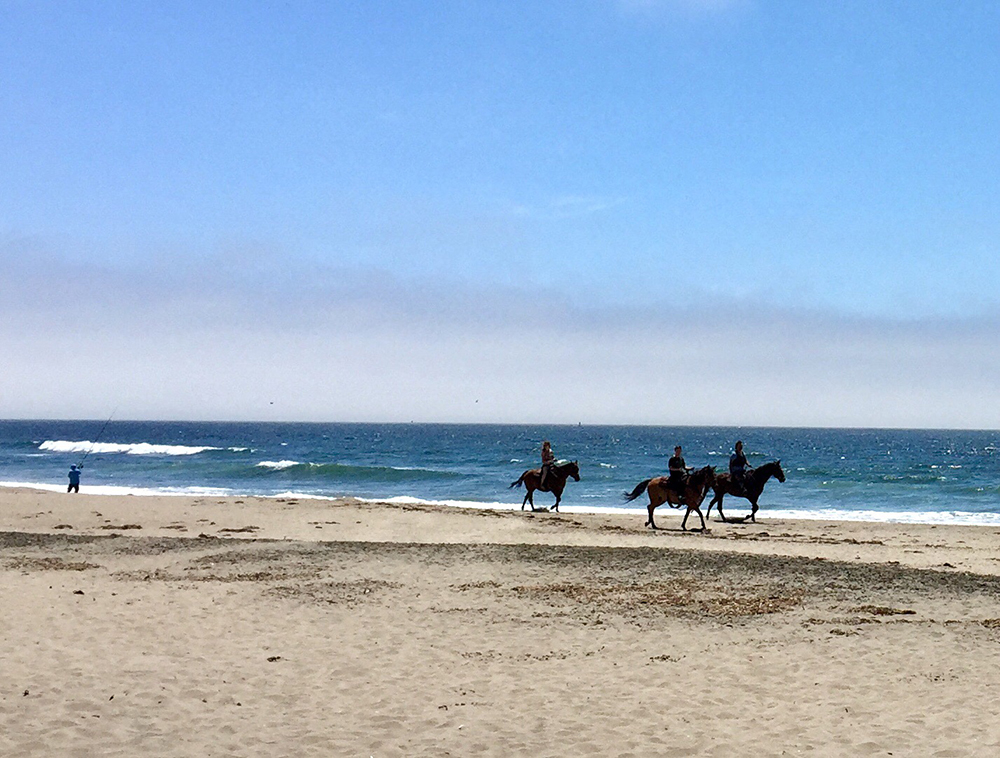 cheval à Granville