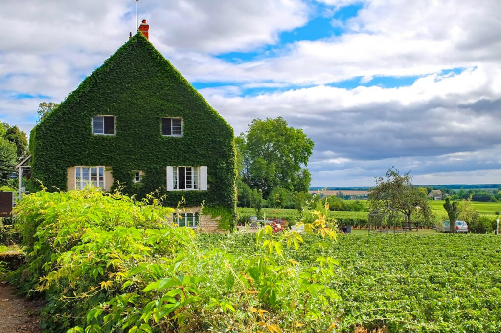 gastronomie authentique Bourgogne
