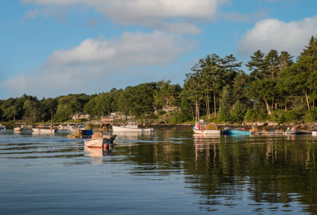 golfe du Morbihan