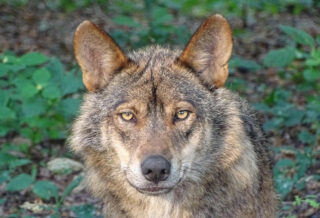 Idées de week-end en Dordogne