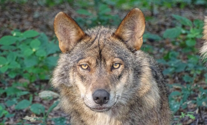 Idées de week-end en Dordogne