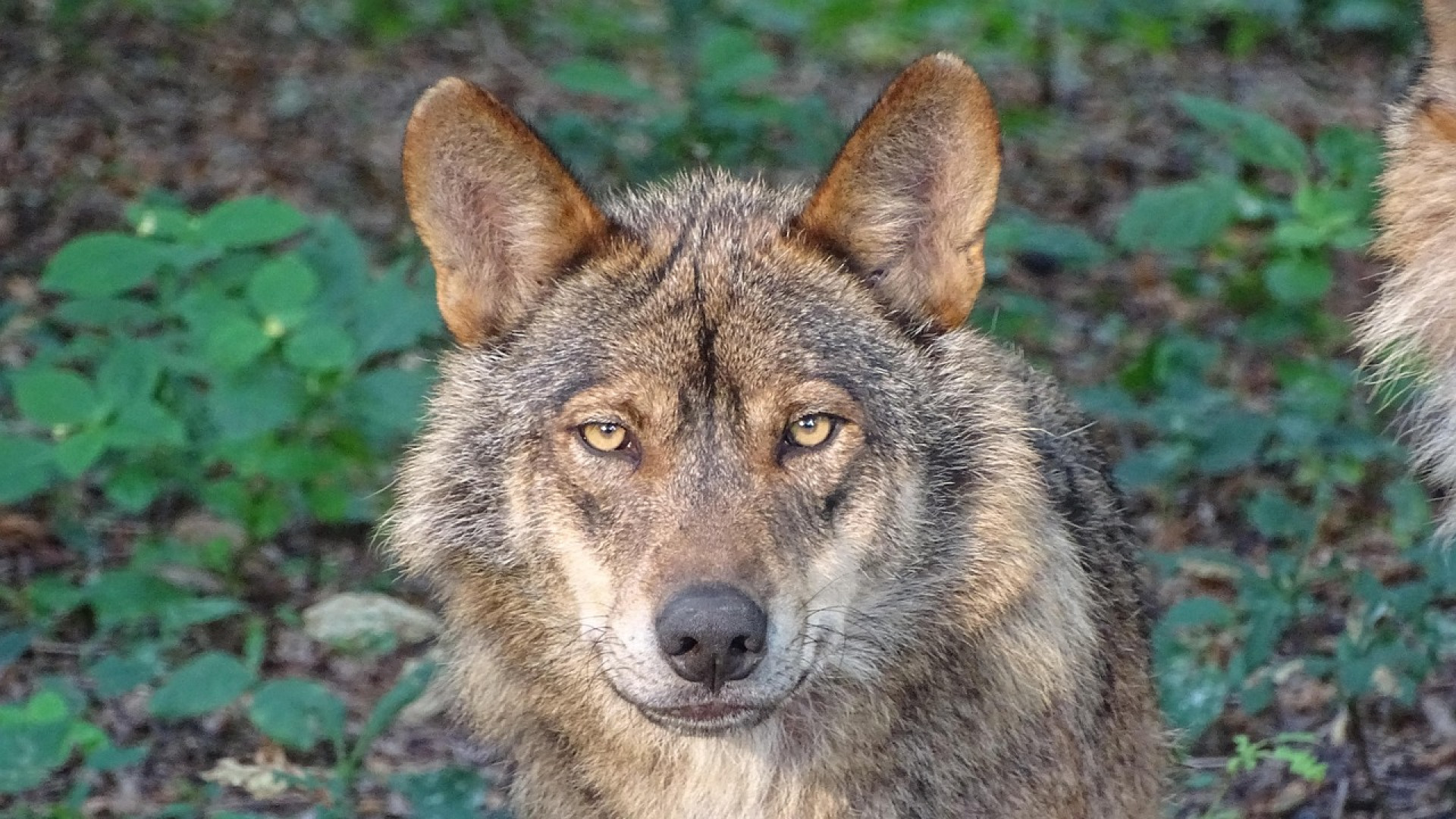 Idées de week-end en Dordogne