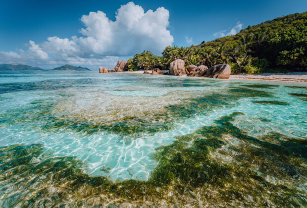 île la Réunion