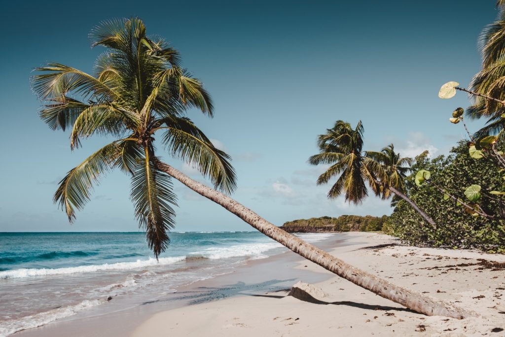 location de vacances en Martinique