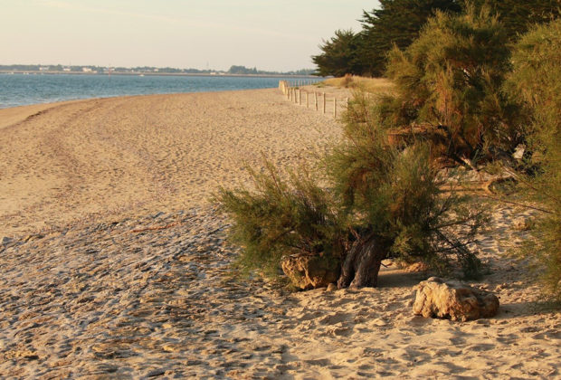 location tranche sur mer