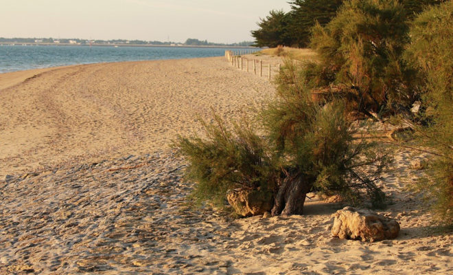 location tranche sur mer