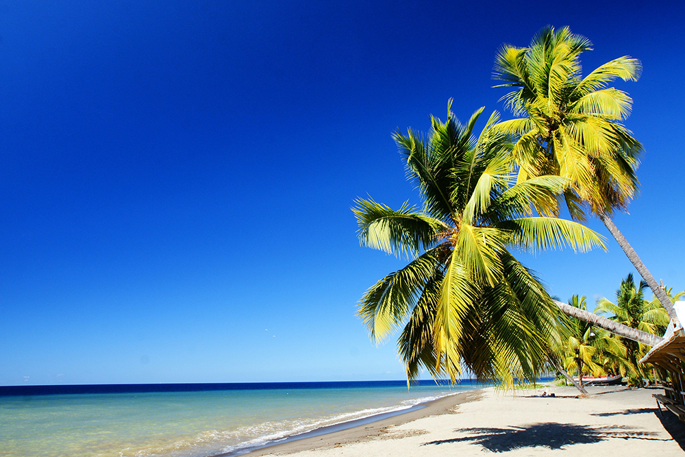 découverte de la Martinique