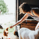 meilleur camping à la ferme