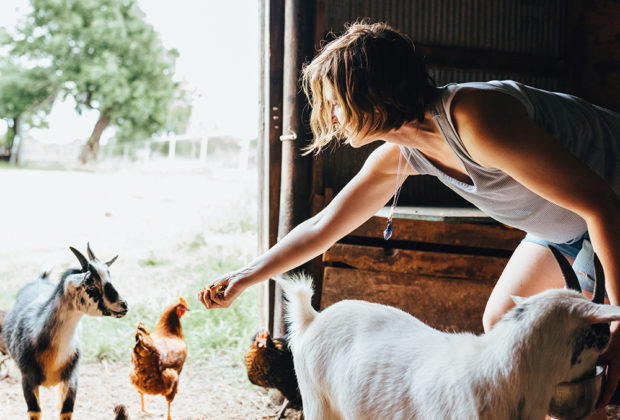 meilleur camping à la ferme