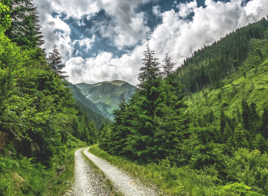 montagnes de Fagaras