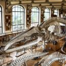 musées à visiter