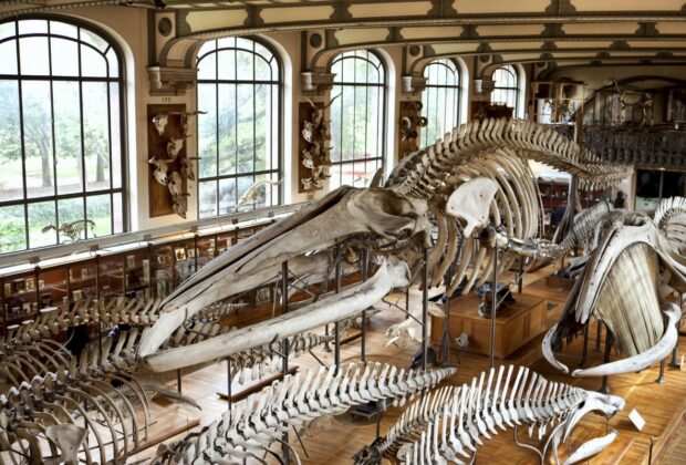 musées à visiter