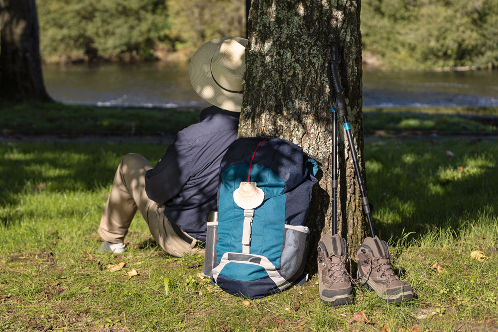 organisation voyage compostelle