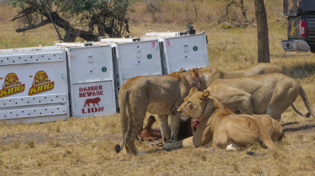 parcs nationaux en Afrique