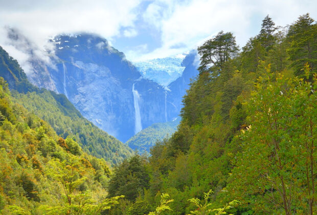 patagonie nature