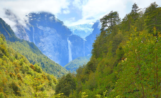 patagonie nature