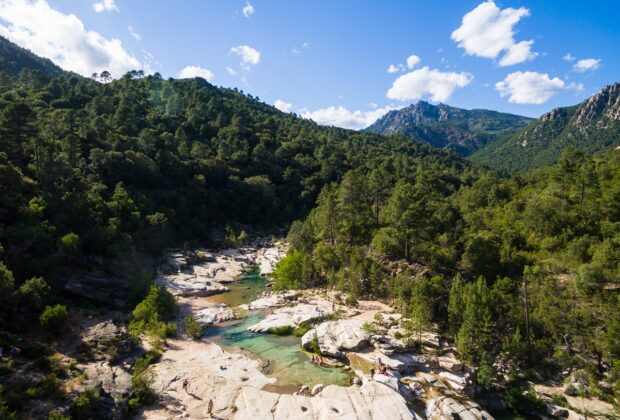 piscine naturelle