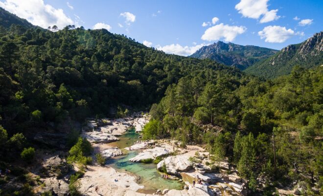 piscine naturelle