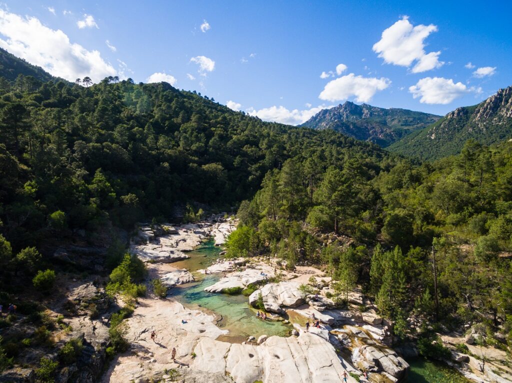 piscine naturelle